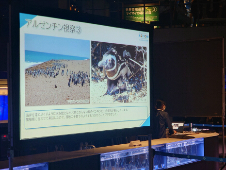 アルゼンチンでの視察報告の様子
