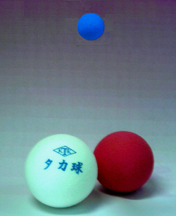 タカ球