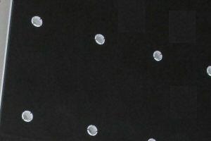 定植板　ブラック＆ホワイト