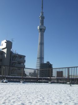 スカイツリー